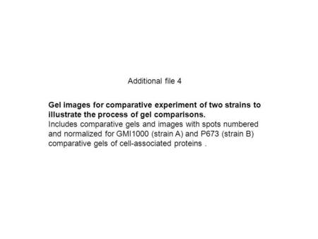 Additional file 4 Gel images for comparative experiment of two strains to illustrate the process of gel comparisons. Includes comparative gels and images.