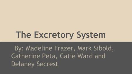 The Excretory System By: Madeline Frazer, Mark Sibold, Catherine Peta, Catie Ward and Delaney Secrest.