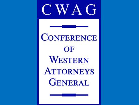 CCS Legal Issues Presentation to CWAG August 5, 2009 Karl Moor VP & Associate General Counsel Southern Company Services.