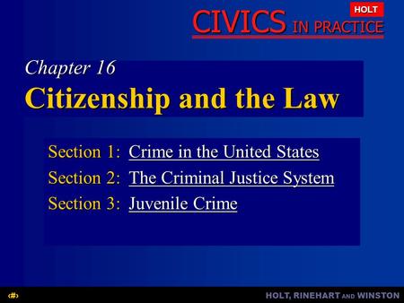 Chapter 16 Citizenship and the Law