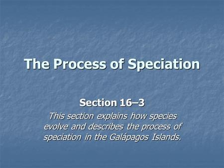 The Process of Speciation