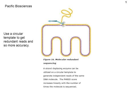 1 Use a circular template to get redundant reads and so more accuracy. Pacific Biosciences.