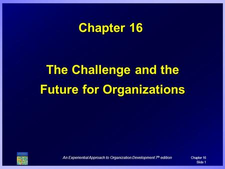 The Challenge and the Future for Organizations