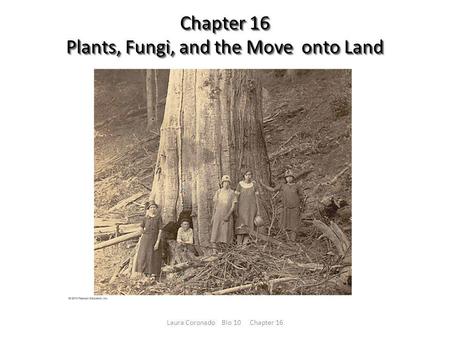 Chapter 16 Plants, Fungi, and the Move onto Land