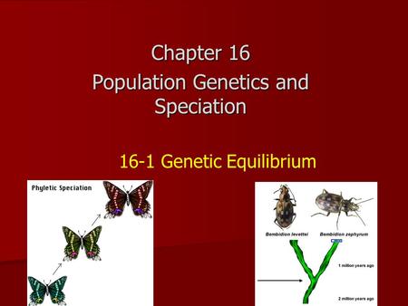 Chapter 16 Population Genetics and Speciation