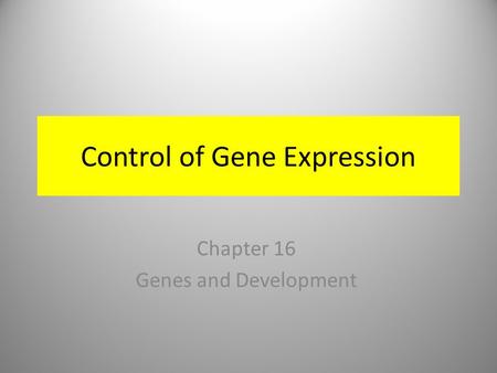 Control of Gene Expression