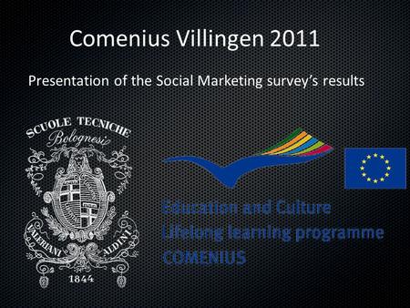 Comenius Villingen 2011 Presentation of the Social Marketing survey’s results.