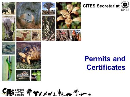 1 Permits and Certificates CITES Secretariat. 2 Overview Permits and certificates Normal procedures.