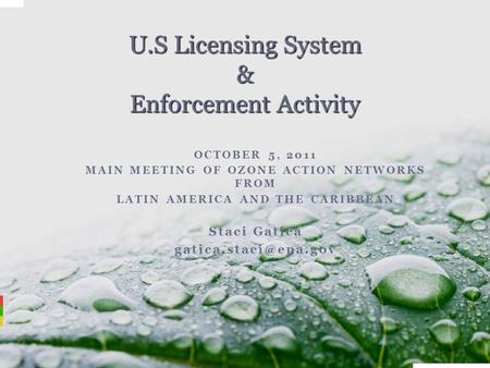 OCTOBER 5, 2011 MAIN MEETING OF OZONE ACTION NETWORKS FROM LATIN AMERICA AND THE CARIBBEAN Staci Gatica U.S Licensing System & Enforcement.