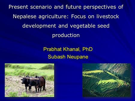 Present scenario and future perspectives of Nepalese agriculture: Focus on livestock development and vegetable seed production Prabhat Khanal, PhD Subash.