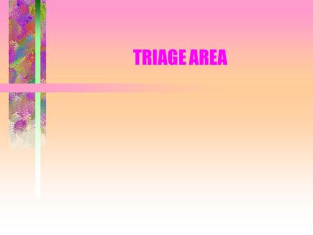 TRIAGE AREA. Triage Area First clinic workstation encountered by clients Triage may occur at both clinic site and transportation site.