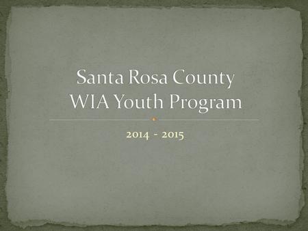 2014 - 2015. 135 Youth Served 89 In-School Youth – 66% 46 Out-of-School Youth – 34%