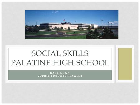 Social Skills Palatine High School