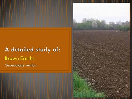 Brown Earths Geoecology section. Draw, colour and label a soil profile of brown earth soils. (soil type named = 4marks, soil profile = 4marks) List the.