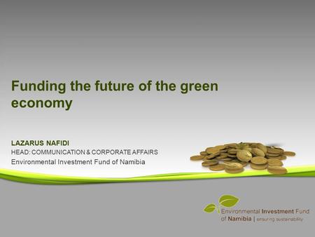 Funding the future of the green economy