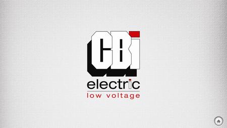 INTRODUCTION SHAREHOLDERS CBI-ELECTRIC: LOW VOLTAGE AT A GLANCE CBI-ELECTRIC: LOW VOLTAGE OVERVIEW.