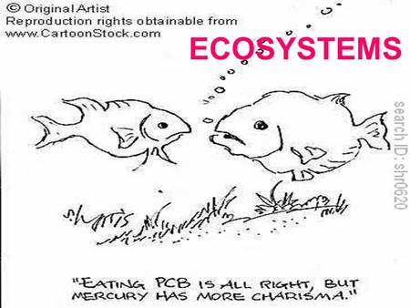 ECOSYSTEMS.