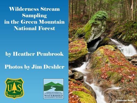 Wilderness Stream Sampling in the Green Mountain National Forest by Heather Pembrook Photos by Jim Deshler Grindstone Brook.