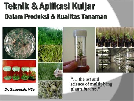 Teknik & Aplikasi Kuljar