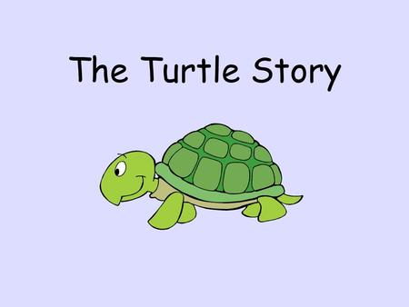 The Turtle Story.