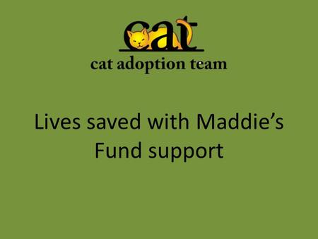 Lives saved with Maddie’s Fund support. The Award In May 2013, CAT was awarded a $165,000 grant as part of a Maddie’s Fund Lifesaving Award to the Animal.