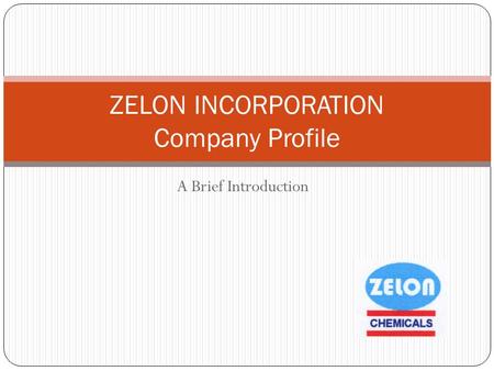 A Brief Introduction ZELON INCORPORATION Company Profile.