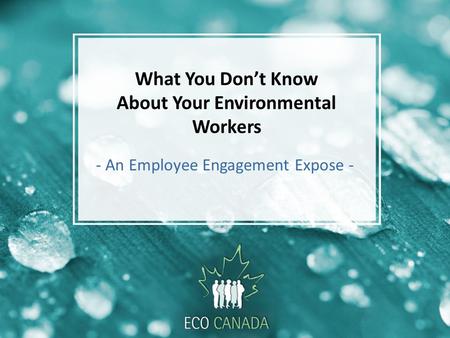 What You Don’t Know About Your Environmental Workers