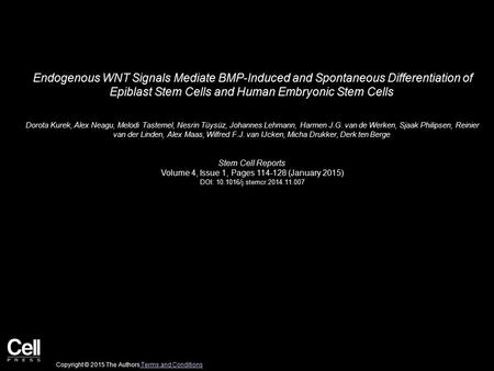 Endogenous WNT Signals Mediate BMP-Induced and Spontaneous Differentiation of Epiblast Stem Cells and Human Embryonic Stem Cells Dorota Kurek, Alex Neagu,