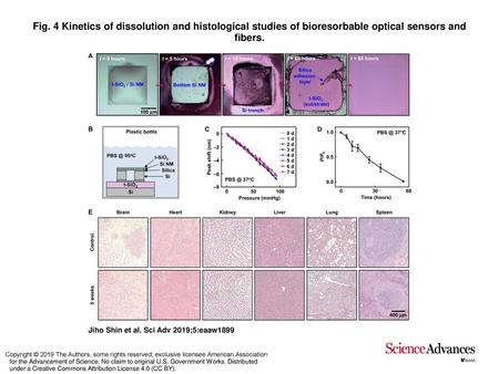 Fig. 4 Kinetics of dissolution and histological studies of bioresorbable optical sensors and fibers. Kinetics of dissolution and histological studies of.