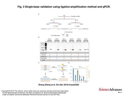 Single-base validation using ligation-amplification method and qPCR