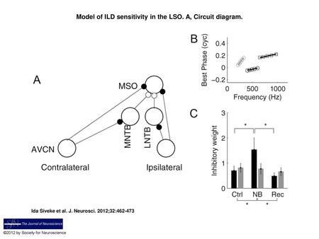 Model of ILD sensitivity in the LSO. A, Circuit diagram.