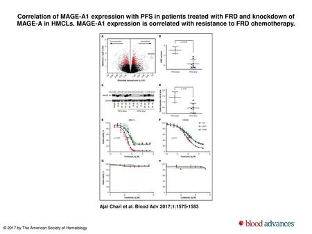 Correlation of MAGE-A1 expression with PFS in patients treated with FRD and knockdown of MAGE-A in HMCLs. MAGE-A1 expression is correlated with resistance.