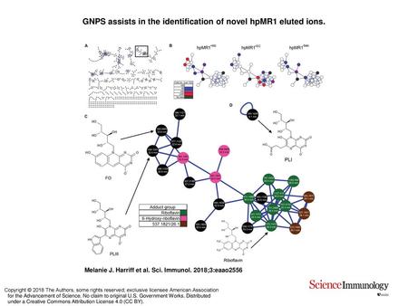 GNPS assists in the identification of novel hpMR1 eluted ions.