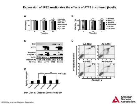 Expression of IRS2 ameliorates the effects of ATF3 in cultured β-cells