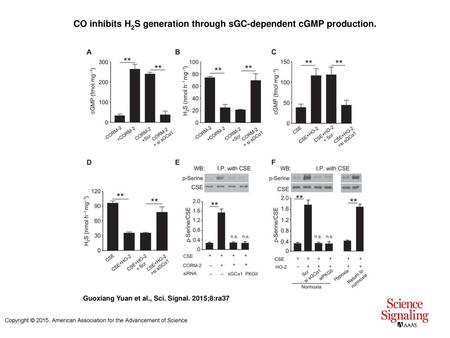 CO inhibits H2S generation through sGC-dependent cGMP production.