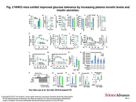 Fig. 2 HHKO mice exhibit improved glucose tolerance by increasing plasma incretin levels and insulin secretion. HHKO mice exhibit improved glucose tolerance.