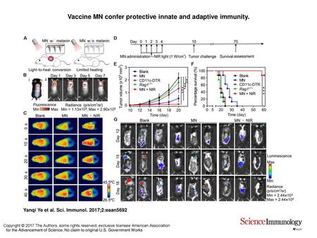 Vaccine MN confer protective innate and adaptive immunity.