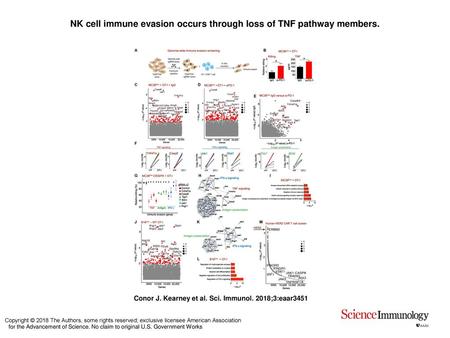 NK cell immune evasion occurs through loss of TNF pathway members.