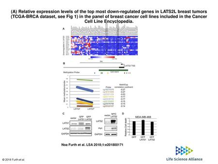 (A) Relative expression levels of the top most down-regulated genes in LATS2L breast tumors (TCGA-BRCA dataset, see Fig 1) in the panel of breast cancer.