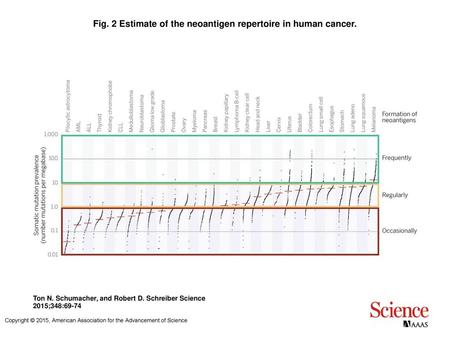 Fig. 2 Estimate of the neoantigen repertoire in human cancer.