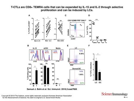 T-CTLs are CD8+ TEMRA cells that can be expanded by IL-15 and IL-2 through selective proliferation and can be induced by LCs. T-CTLs are CD8+ TEMRA cells.