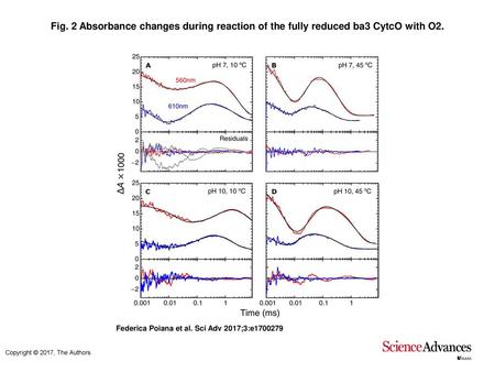 Fig. 2 Absorbance changes during reaction of the fully reduced ba3 CytcO with O2. Absorbance changes during reaction of the fully reduced ba3 CytcO with.