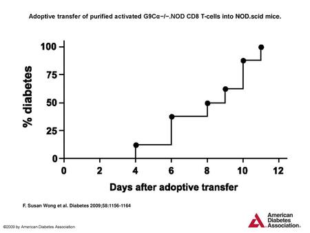 Adoptive transfer of purified activated G9Cα−/−