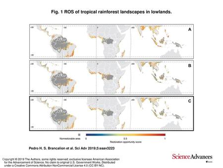 Fig. 1 ROS of tropical rainforest landscapes in lowlands.