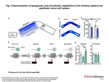 Fig. 4 Demonstration of optogenetic and microfluidic capabilities of the wireless, battery-free optofluidic nerve cuff system. Demonstration of optogenetic.