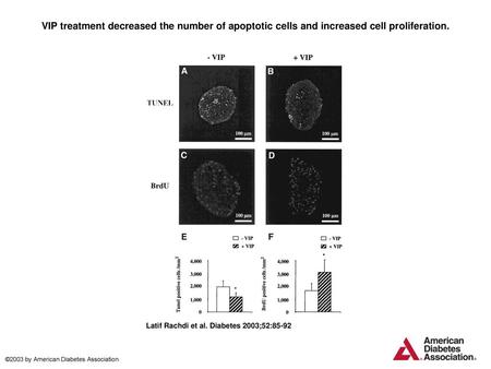 VIP treatment decreased the number of apoptotic cells and increased cell proliferation. VIP treatment decreased the number of apoptotic cells and increased.