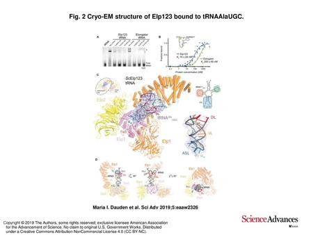 Fig. 2 Cryo-EM structure of Elp123 bound to tRNAAlaUGC.