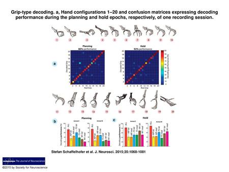 Grip-type decoding. a, Hand configurations 1–20 and confusion matrices expressing decoding performance during the planning and hold epochs, respectively,