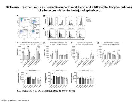 Diclofenac treatment reduces L-selectin on peripheral blood and infiltrated leukocytes but does not alter accumulation in the injured spinal cord. Diclofenac.