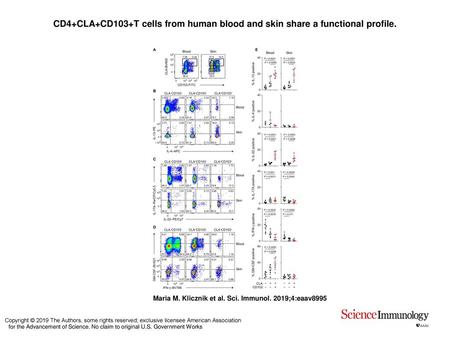 CD4+CLA+CD103+T cells from human blood and skin share a functional profile. CD4+CLA+CD103+T cells from human blood and skin share a functional profile.